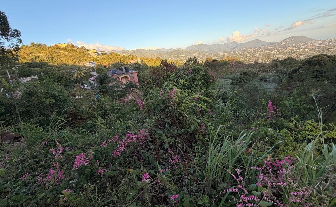 Sixth image of Green Glebe Mountain, Red in Red Hills, St. Andrew, Jamaica - property is For Sale