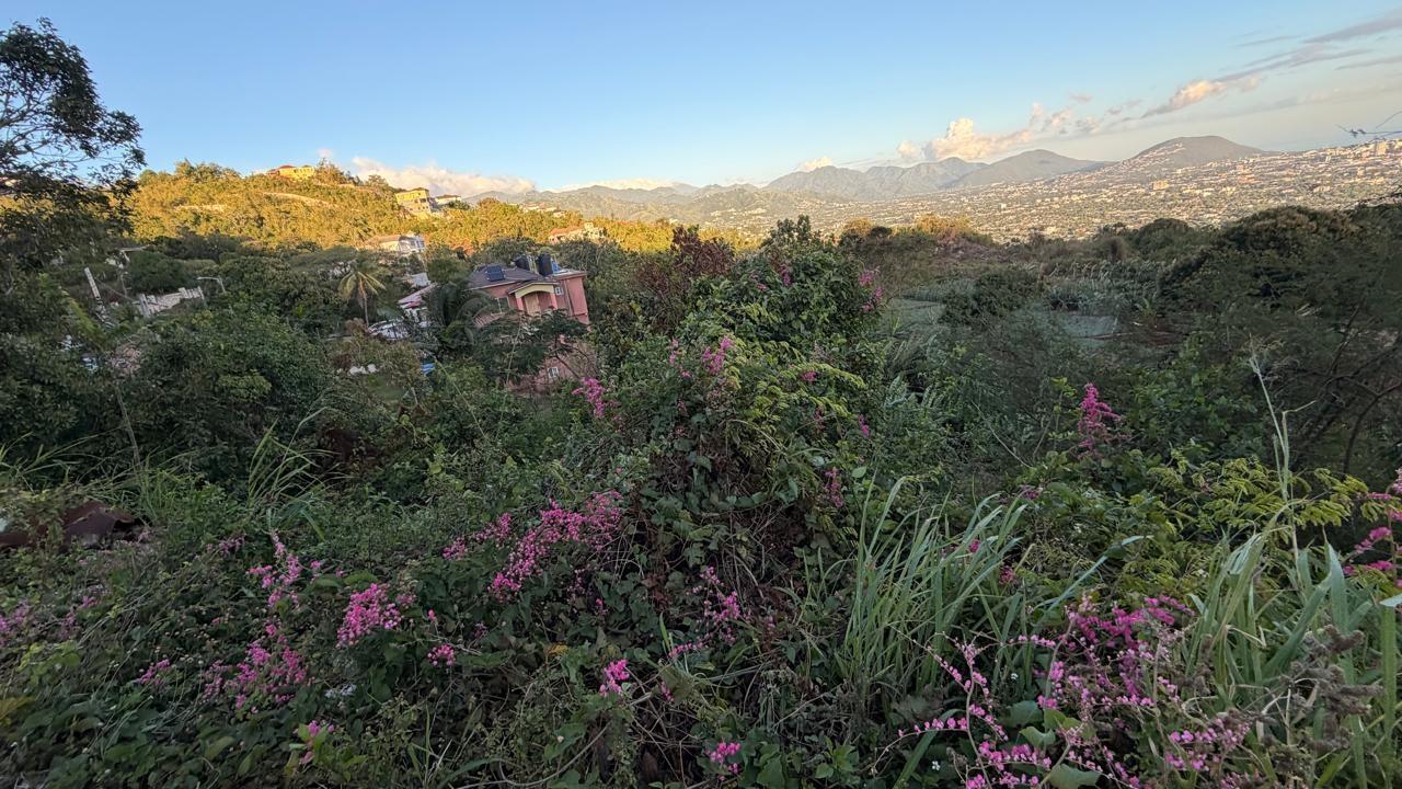 Expansive-Residential-Lot-for-Sale-in-Green-Glebe-Mountain-Red-Hills-St.-Andrew-Jamaica Sixth image of Green Glebe Mountain, Red in Red Hills, St. Andrew, Jamaica - property is For Sale