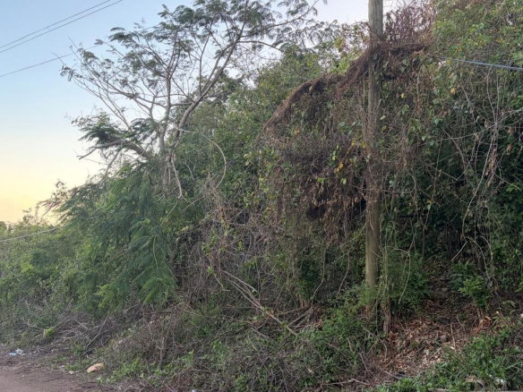 First image of Green Glebe Mountain, Red in Red Hills, St. Andrew, Jamaica - property is For Sale