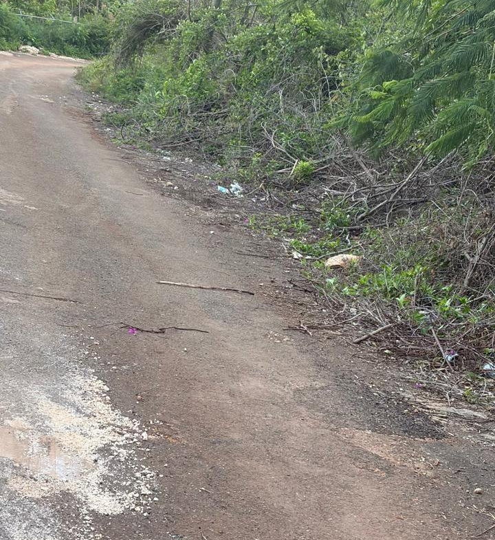 Seventh image of Green Glebe Mountain, Red in Red Hills, St. Andrew, Jamaica - property is For Sale
