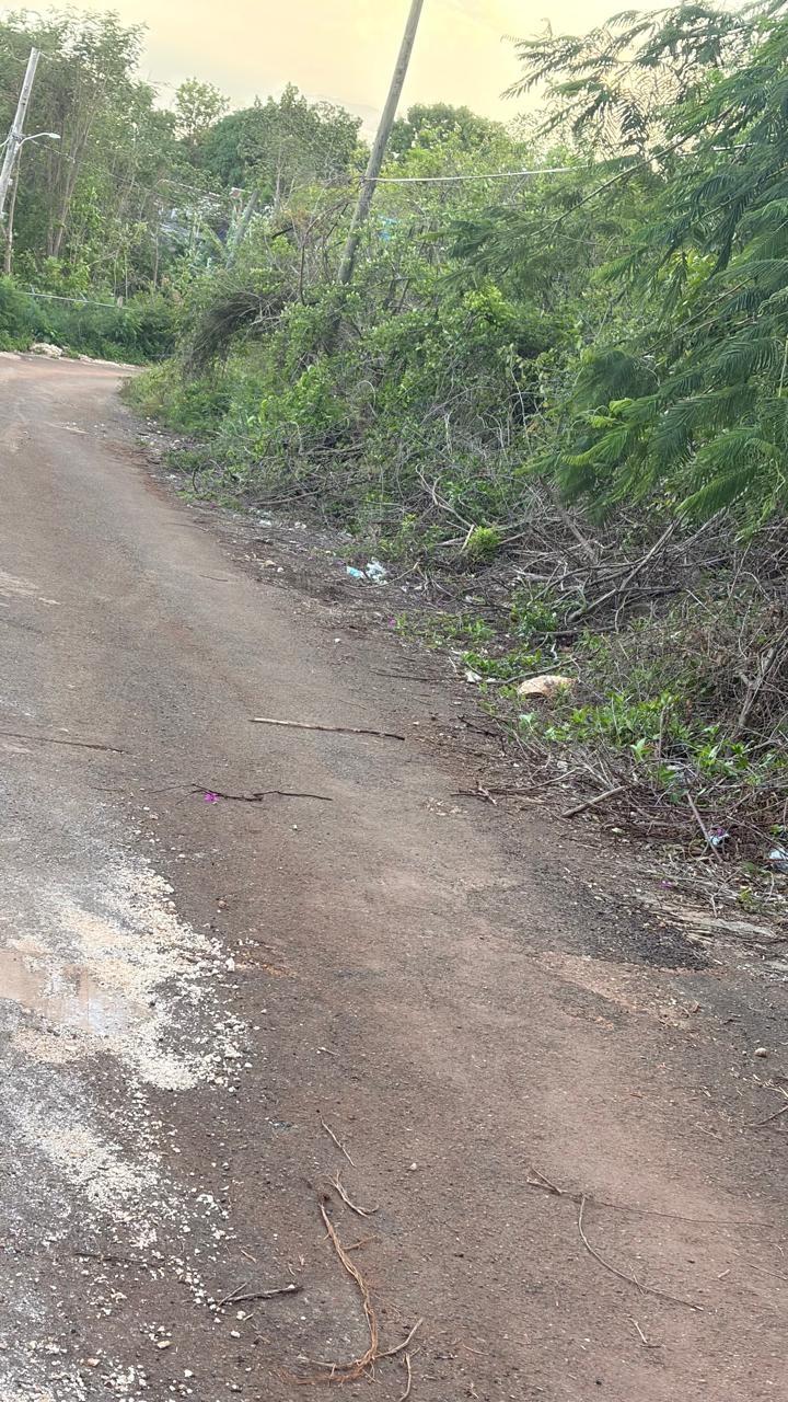 Expansive-Residential-Lot-for-Sale-in-Green-Glebe-Mountain-Red-Hills-St.-Andrew-Jamaica Seventh image of Green Glebe Mountain, Red in Red Hills, St. Andrew, Jamaica - property is For Sale