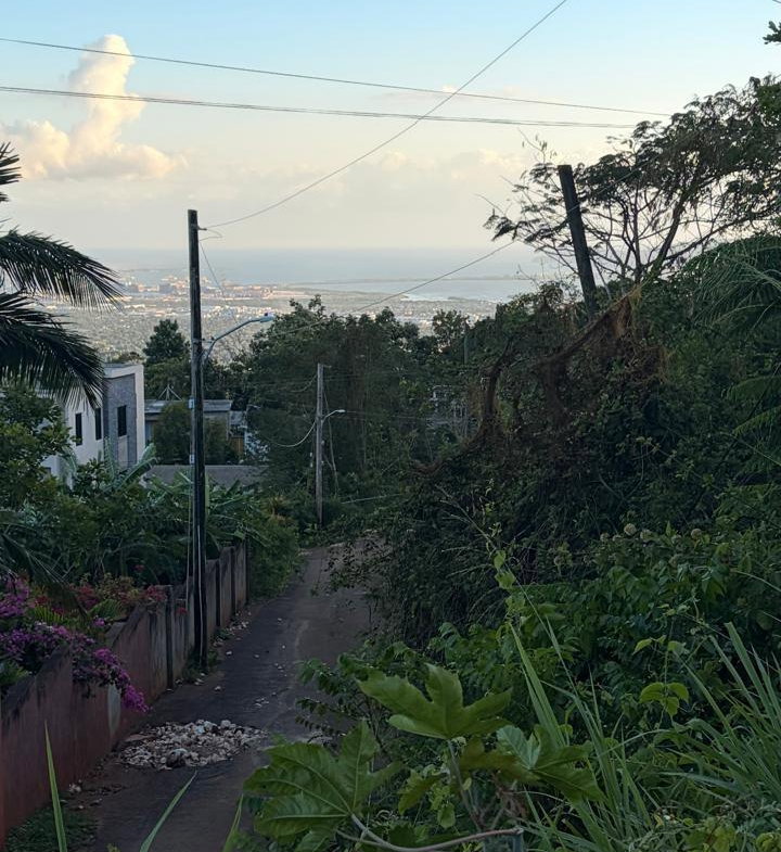 Eighth image of Green Glebe Mountain, Red in Red Hills, St. Andrew, Jamaica - property is For Sale