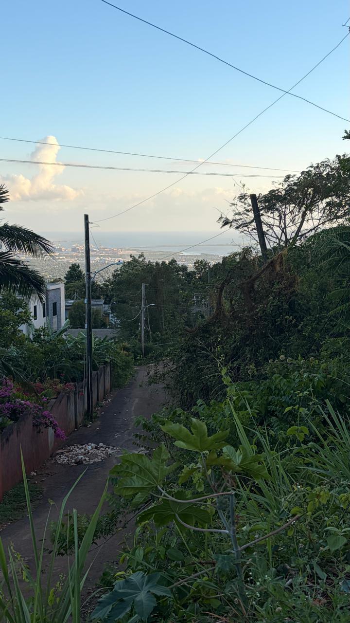 Expansive-Residential-Lot-for-Sale-in-Green-Glebe-Mountain-Red-Hills-St.-Andrew-Jamaica Eighth image of Green Glebe Mountain, Red in Red Hills, St. Andrew, Jamaica - property is For Sale