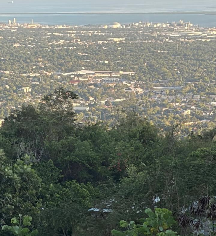 Ninth image of Green Glebe Mountain, Red in Red Hills, St. Andrew, Jamaica - property is For Sale
