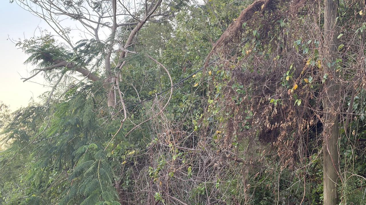 Expansive-Residential-Lot-for-Sale-in-Green-Glebe-Mountain-Red-Hills-St.-Andrew-Jamaica Tenth image of Green Glebe Mountain, Red in Red Hills, St. Andrew, Jamaica - property is For Sale