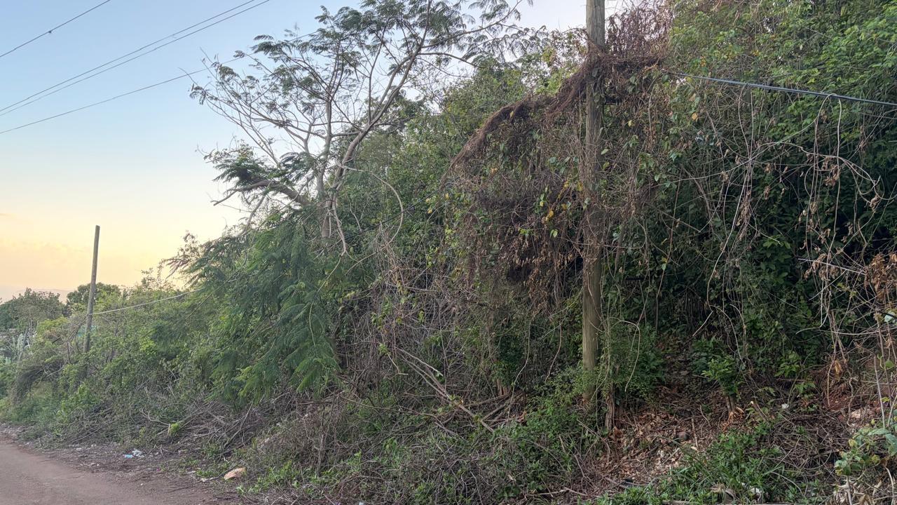 Expansive-Residential-Lot-for-Sale-in-Green-Glebe-Mountain-Red-Hills-St.-Andrew-Jamaica First image of Green Glebe Mountain, Red in Red Hills, St. Andrew, Jamaica - property is For Sale