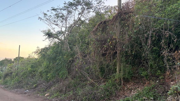First image of Green Glebe Mountain, Red in Red Hills, St. Andrew, Jamaica - property is For Sale