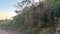 First image of Green Glebe Mountain, Red in Red Hills, St. Andrew, Jamaica - property is For Sale