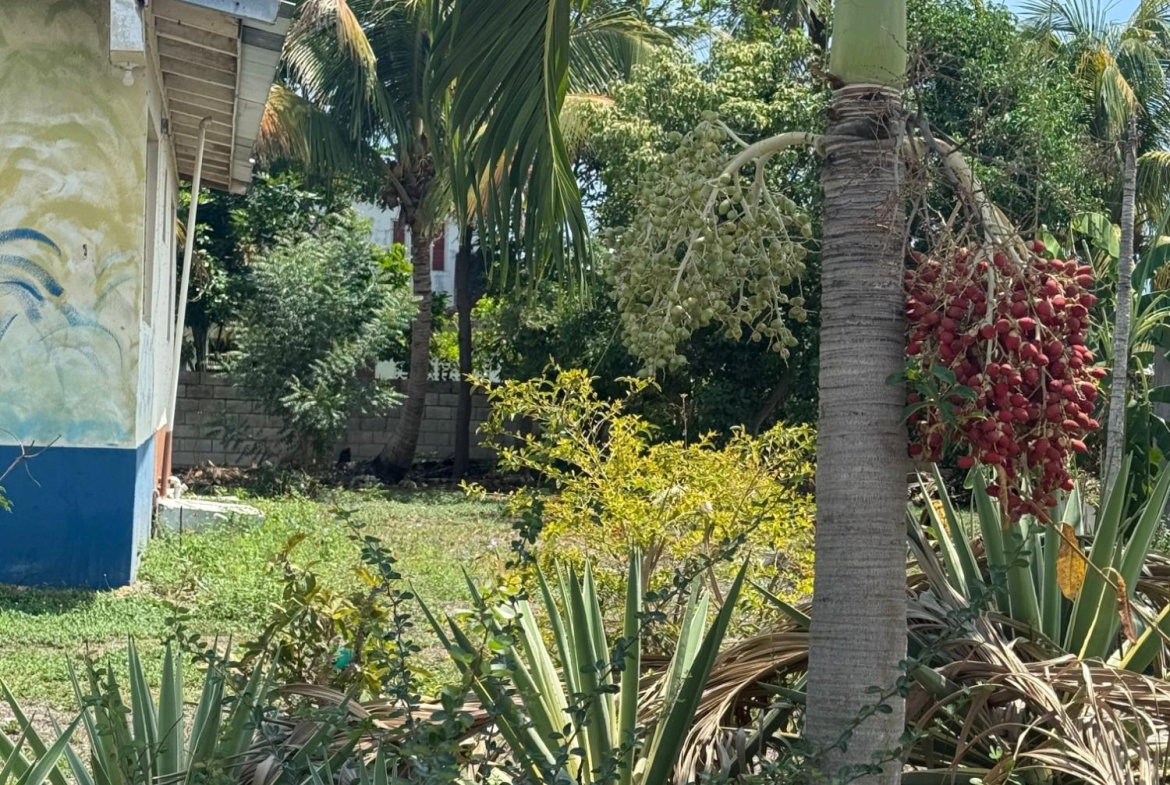 Eleventh image of 97 Judith Ave, Lieba Gardens in JACARANDA (U/C), St. Catherine, Jamaica - property is For Sale