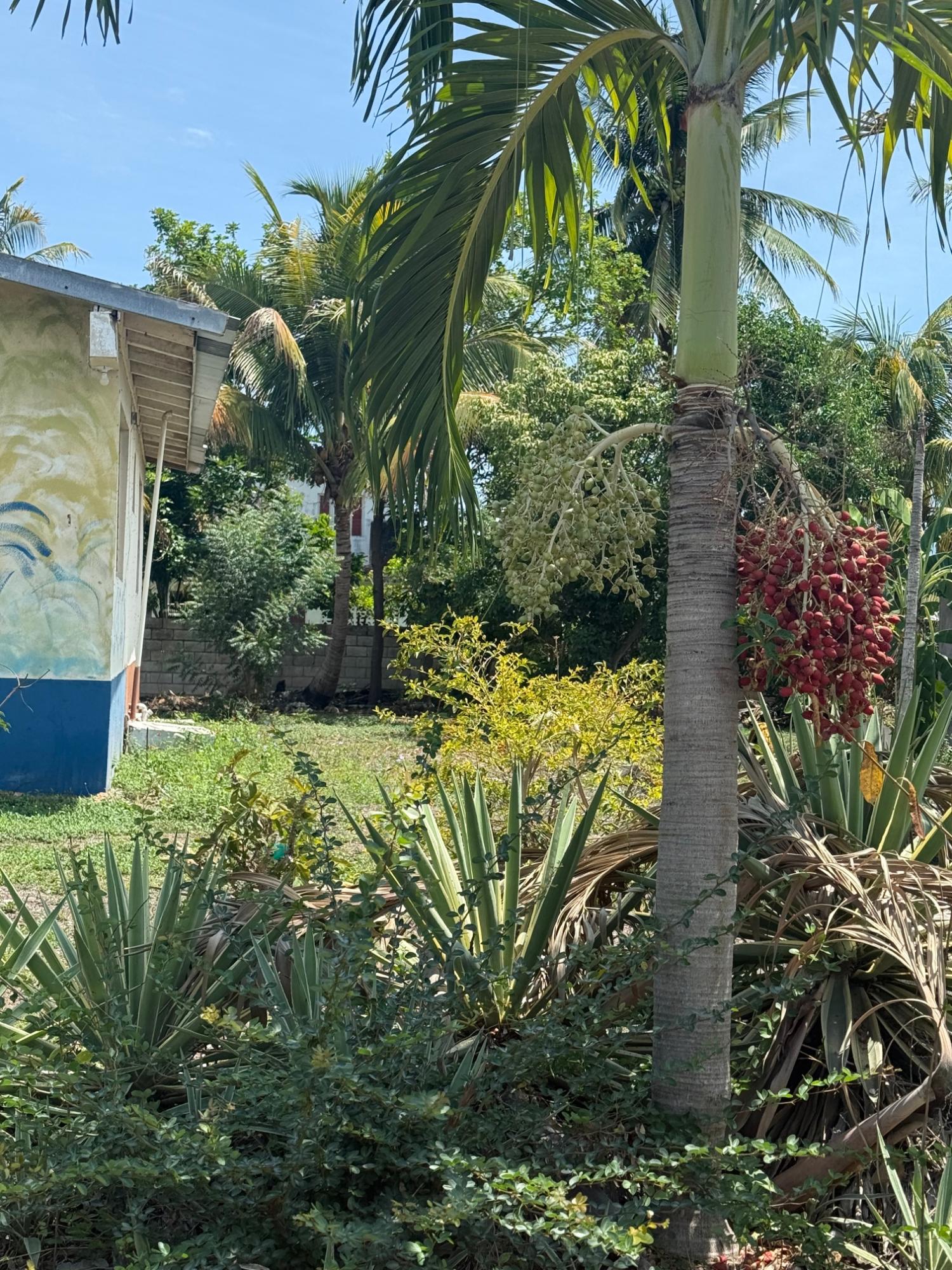 Eleventh image of 97 Judith Ave, Lieba Gardens in JACARANDA (U/C), St. Catherine, Jamaica - property is For Sale