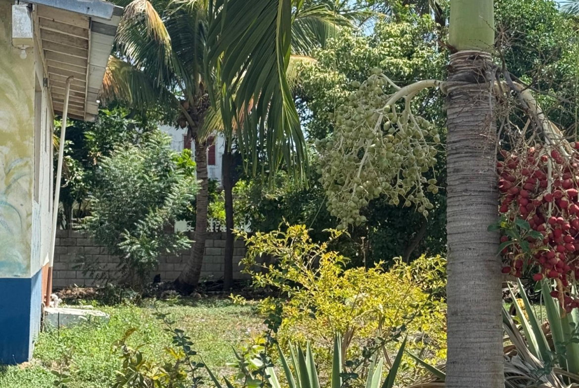 Fifth image of 97 Judith Ave, Lieba Gardens in JACARANDA (U/C), St. Catherine, Jamaica - property is For Sale