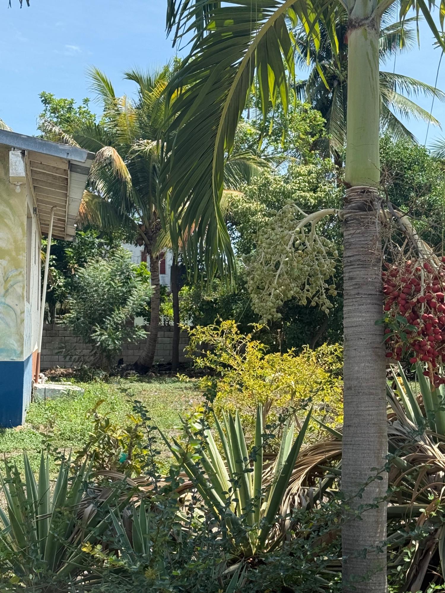 Fifth image of 97 Judith Ave, Lieba Gardens in JACARANDA (U/C), St. Catherine, Jamaica - property is For Sale