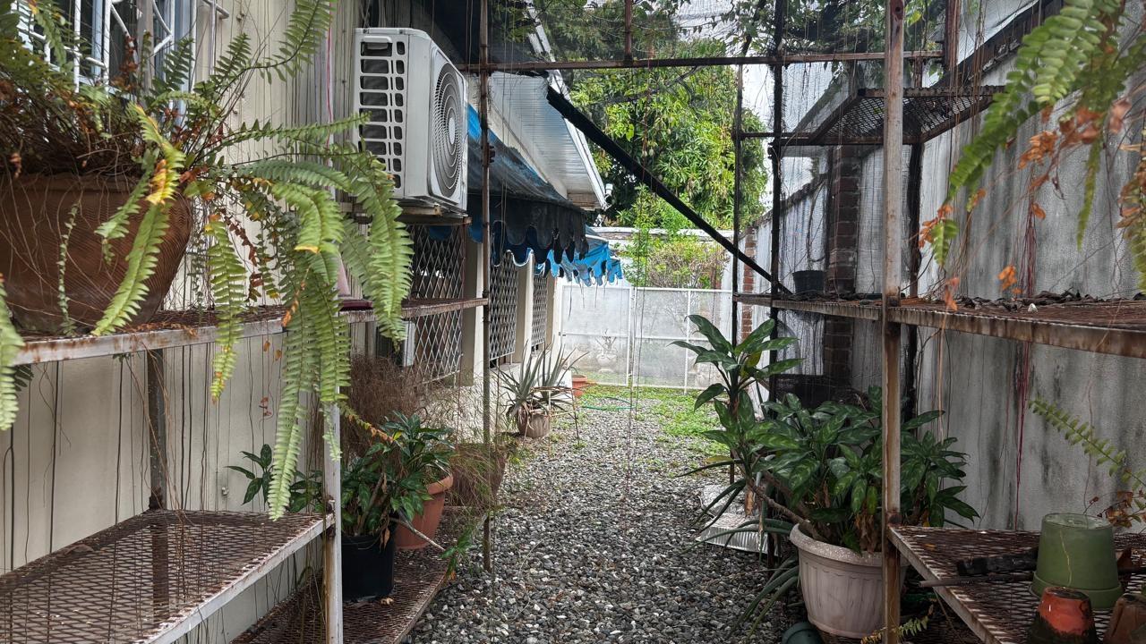 Seventh image of Grovedale Drive in Kingston 10, St. Andrew, Jamaica - property is For Sale