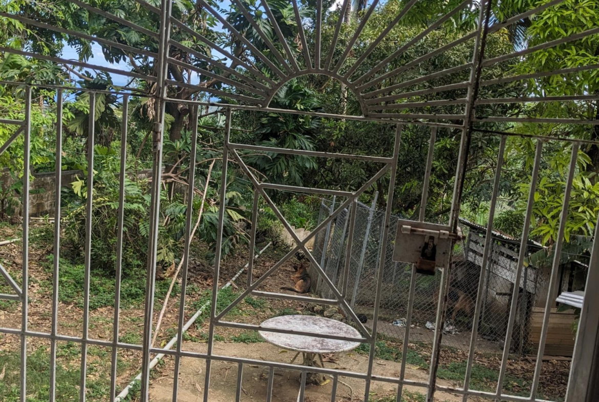 Seventh image of Lime Hall in Lime Hall, St. Ann, Jamaica - property is For Sale