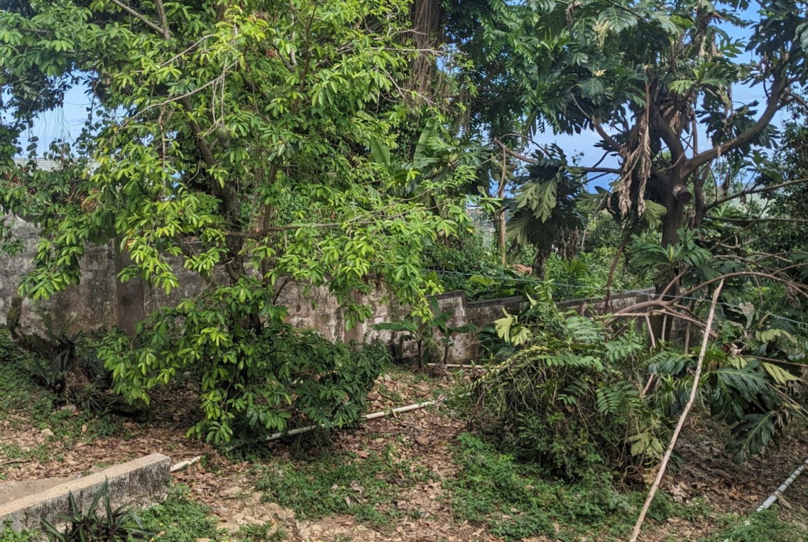 Eighth image of Lime Hall in Lime Hall, St. Ann, Jamaica - property is For Sale