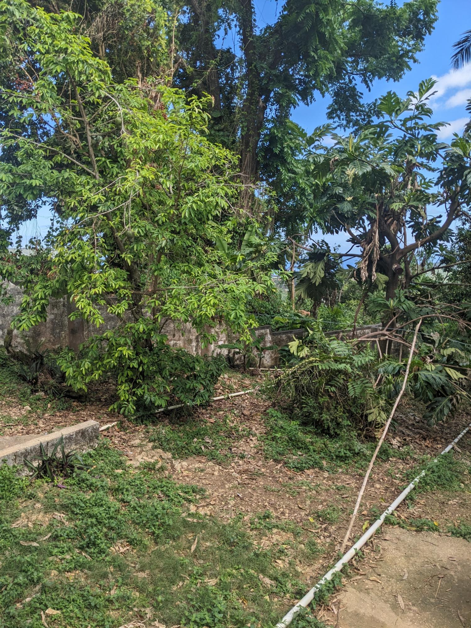 Eighth image of Lime Hall in Lime Hall, St. Ann, Jamaica - property is For Sale
