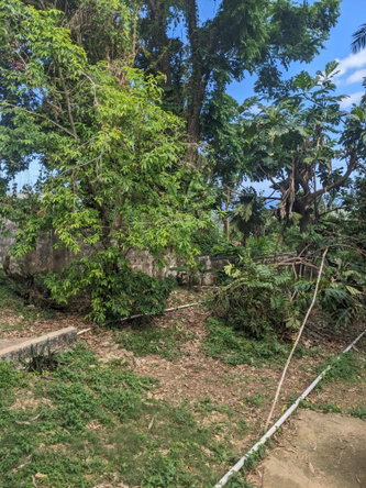 Eighth image of Lime Hall in Lime Hall, St. Ann, Jamaica - property is For Sale
