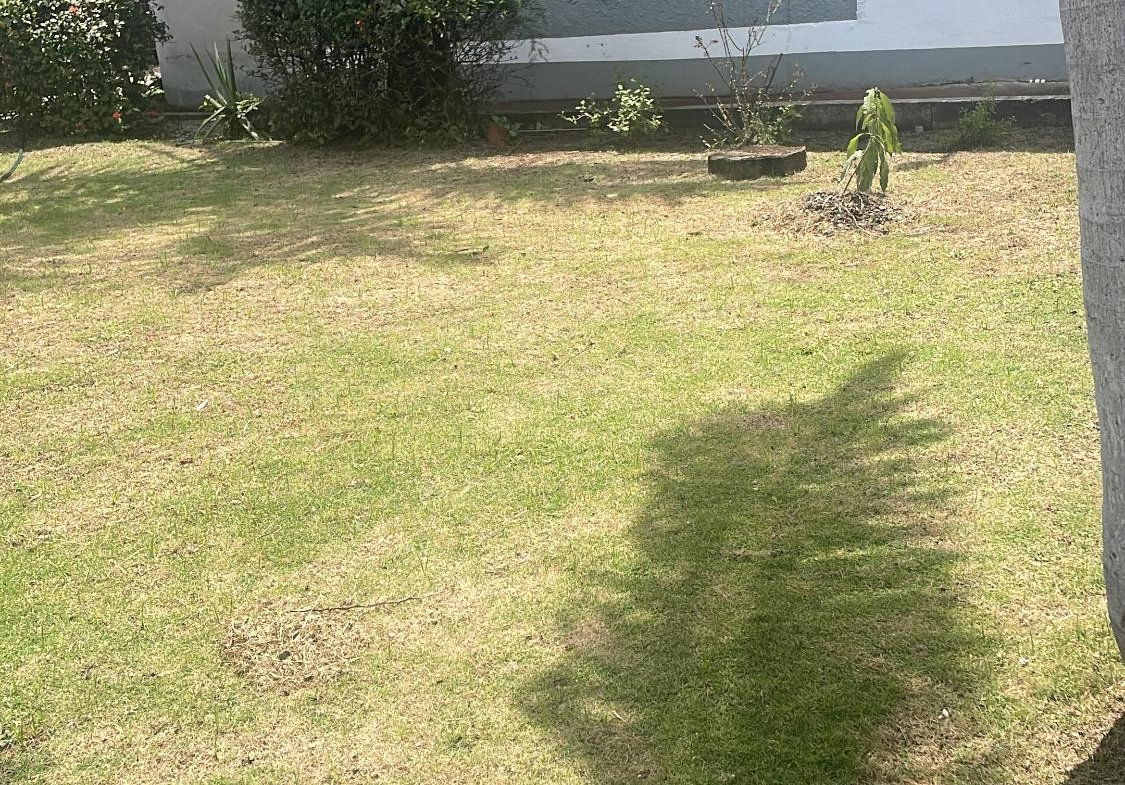 Second image of Donald Blvd in May Pen, Clarendon, Jamaica - property is For Rent