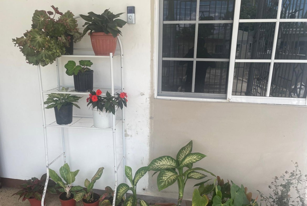 Eighth image of Donald Blvd in May Pen, Clarendon, Jamaica - property is For Rent