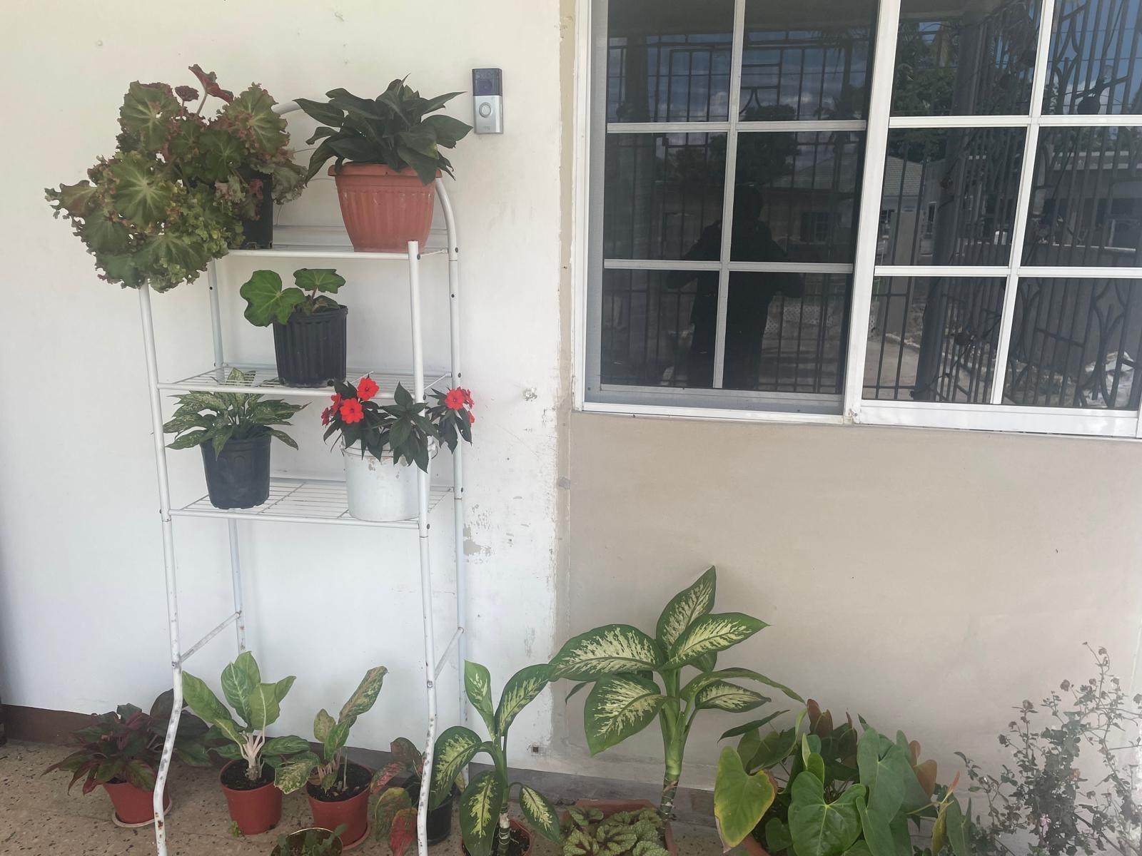 Eighth image of Donald Blvd in May Pen, Clarendon, Jamaica - property is For Rent