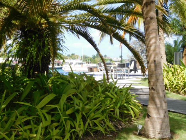 Twenty-Ninth image of C102-22 Freeport in Montego Bay, St. James, Jamaica - property is For Rent