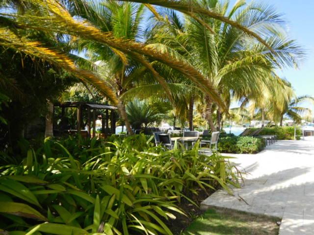 Thirtieth image of C102-22 Freeport in Montego Bay, St. James, Jamaica - property is For Rent