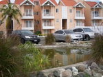 First image of 333-6 Marley Manor in Kingston 6, St. Andrew, Jamaica - property is For Rent
