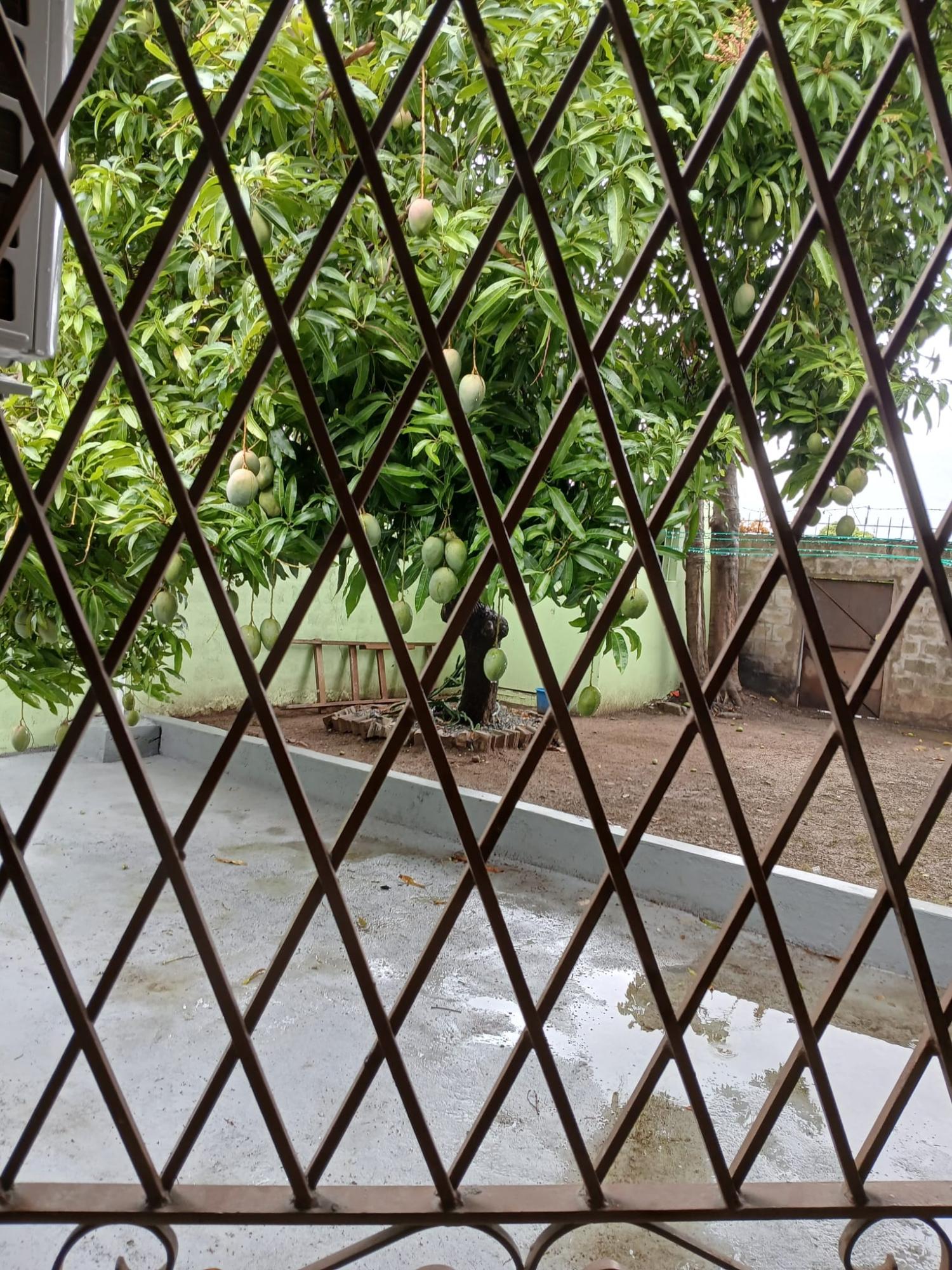 Twenty-Third image of A-9 Miami Drive in Gregory Park, St. Catherine, Jamaica - property is For Rent