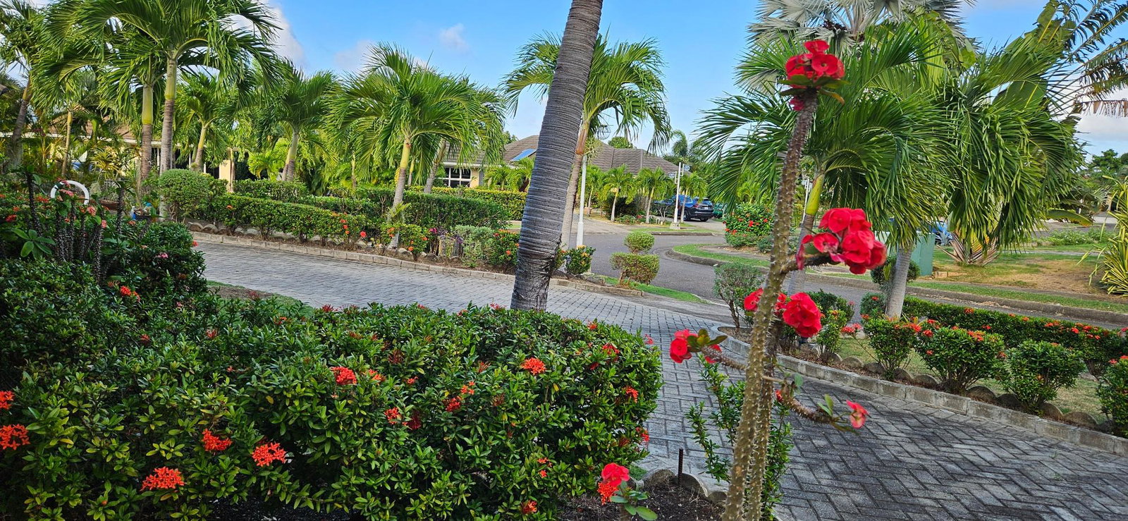 Third image of 337 Guava Avenue The Palms ri in St. Ann's Bay, St. Ann, Jamaica - property is For Rent