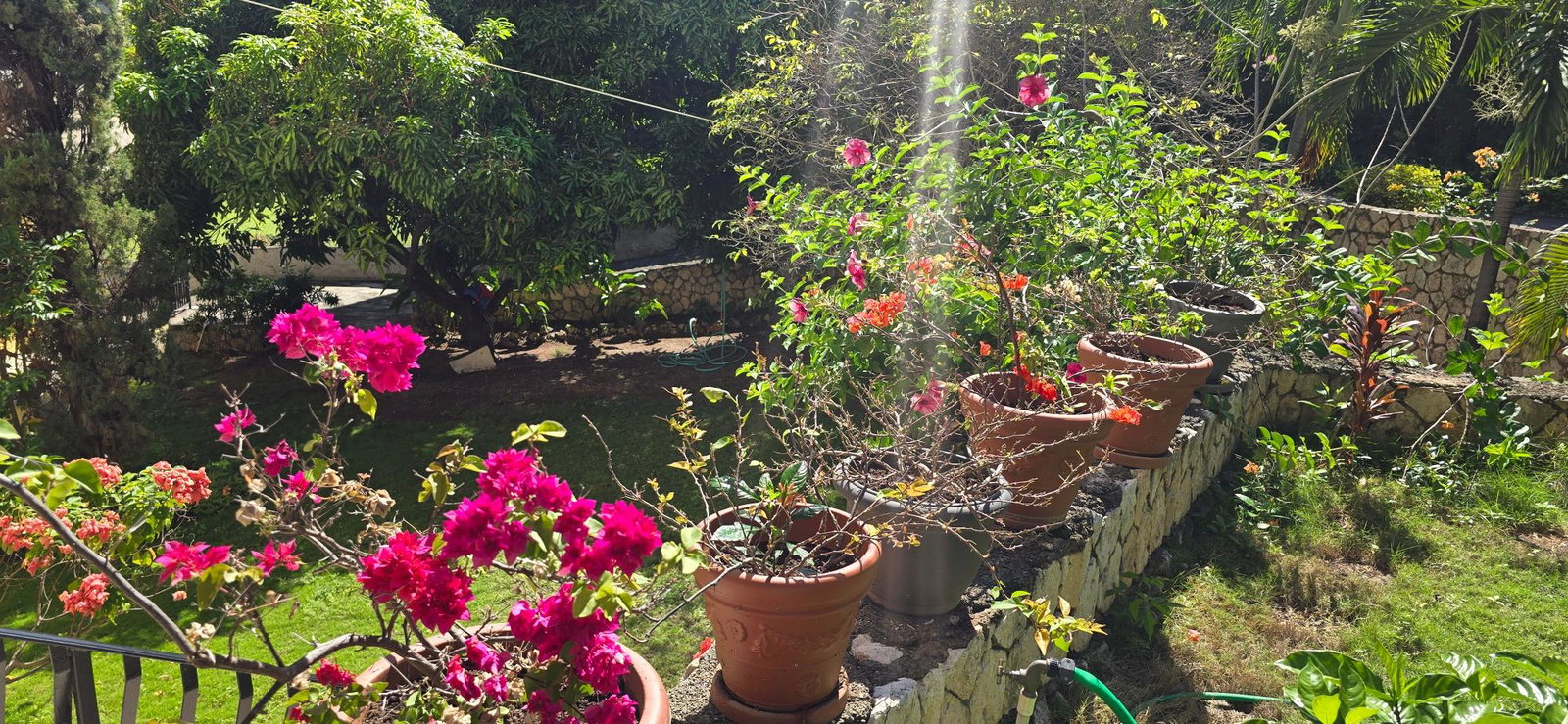 Fourteenth image of 10 Weycliffe Close in Kingston 6, St. Andrew, Jamaica - property is For Rent