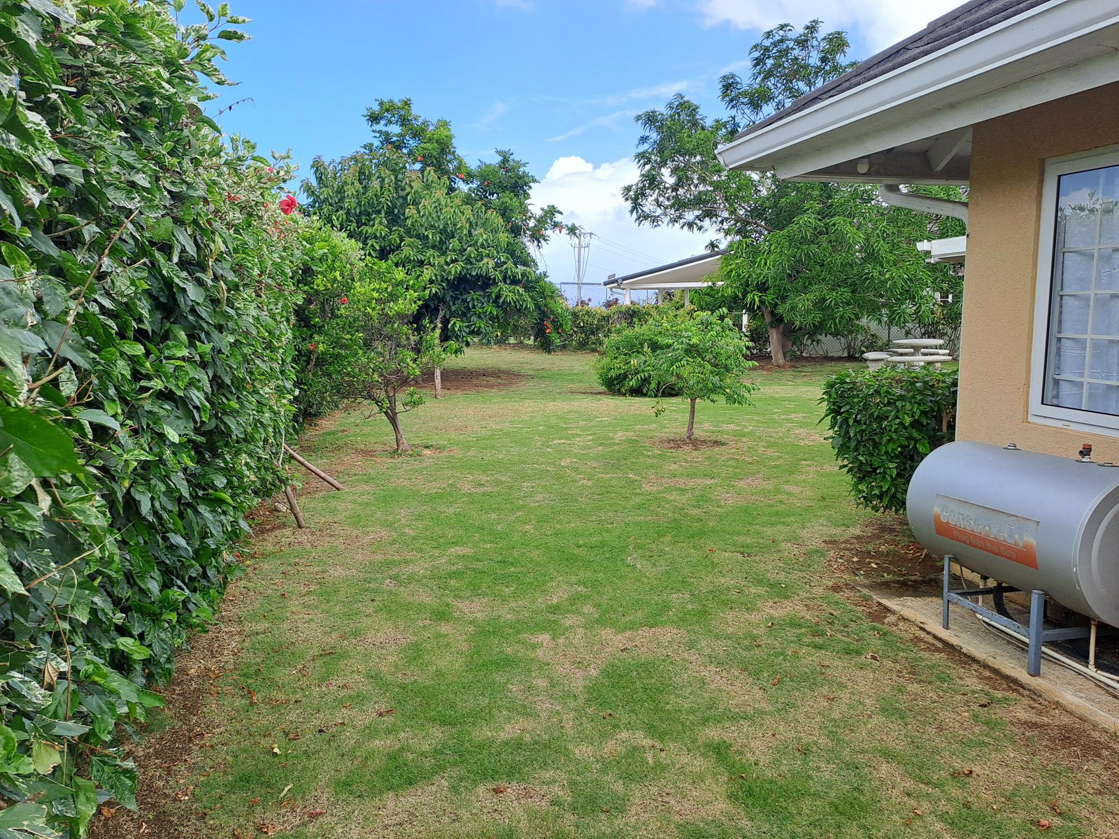 Twenty-Third image of 702 Banana Walk in Richmond, St. Ann, Jamaica - property is For Rent