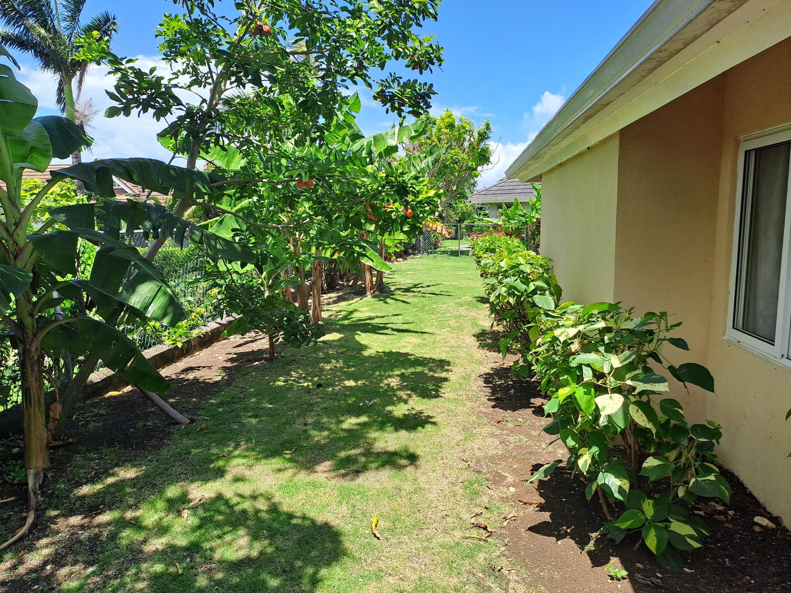 Eighteenth image of 210 Pimento Avenue in Richmond, St. Ann, Jamaica - property is For Rent