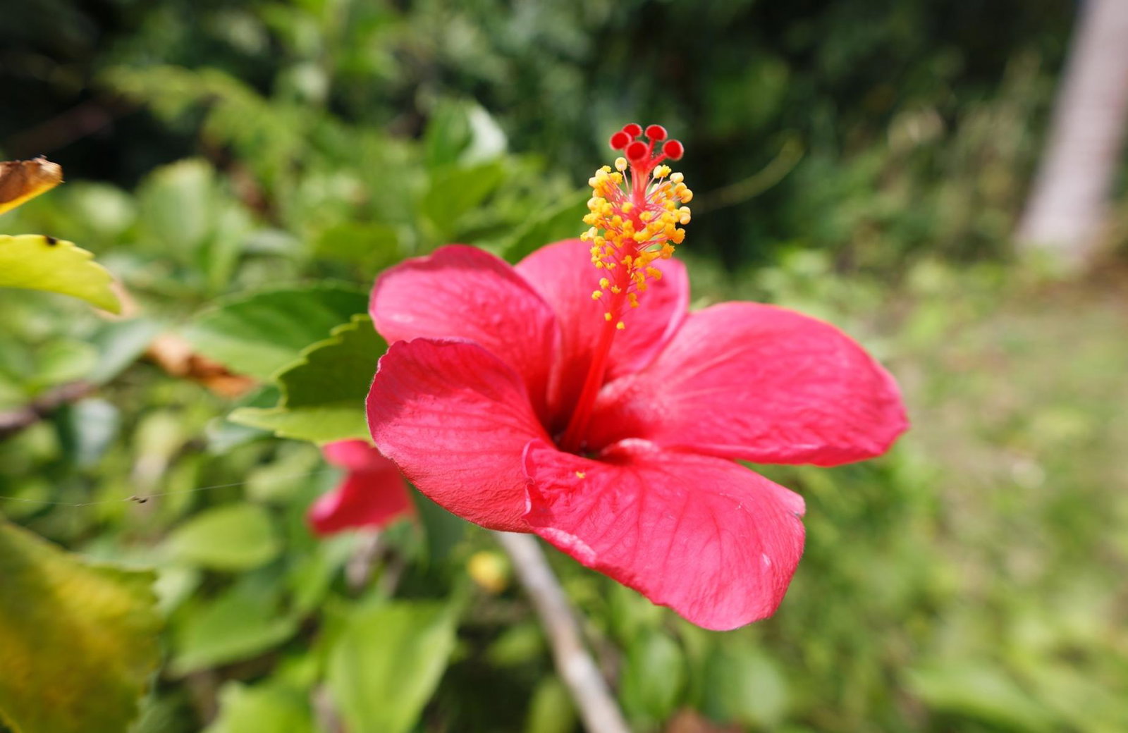 Twenty-Seventh image of 21 Norwich, Portland in Port Antonio, Portland, Jamaica - property is For Sale