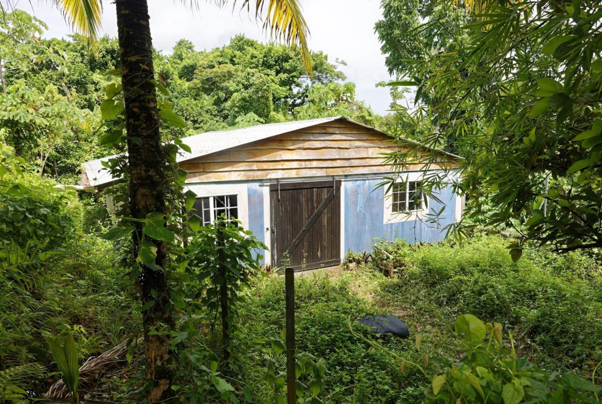 Twenty-Eighth image of 21 Norwich, Portland in Port Antonio, Portland, Jamaica - property is For Sale