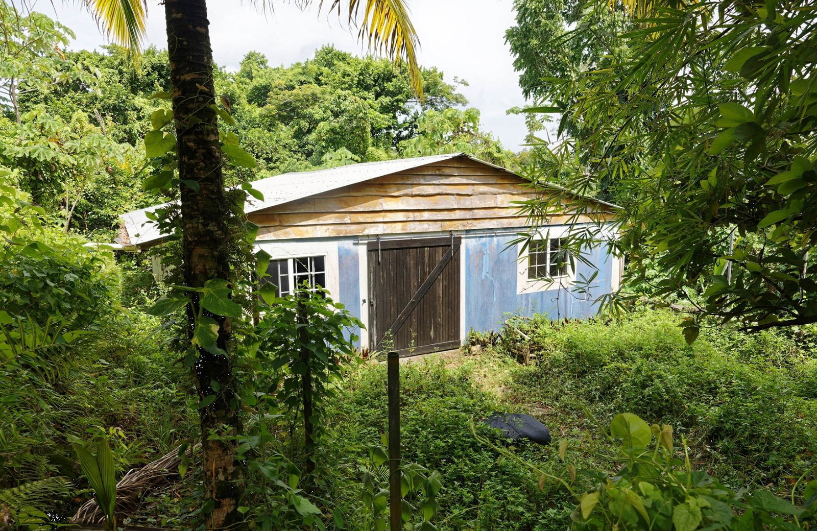 Twenty-Eighth image of 21 Norwich, Portland in Port Antonio, Portland, Jamaica - property is For Sale
