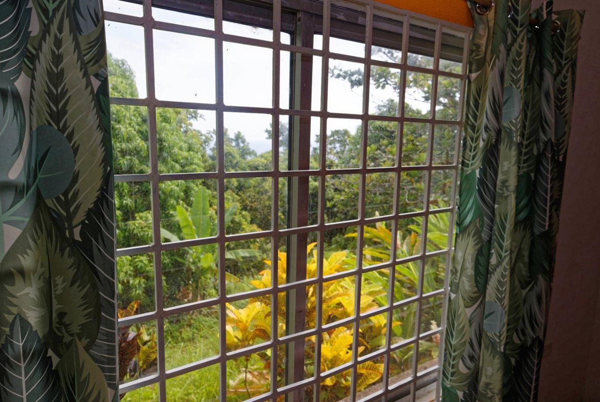 Ninth image of 21 Norwich, Portland in Port Antonio, Portland, Jamaica - property is For Sale