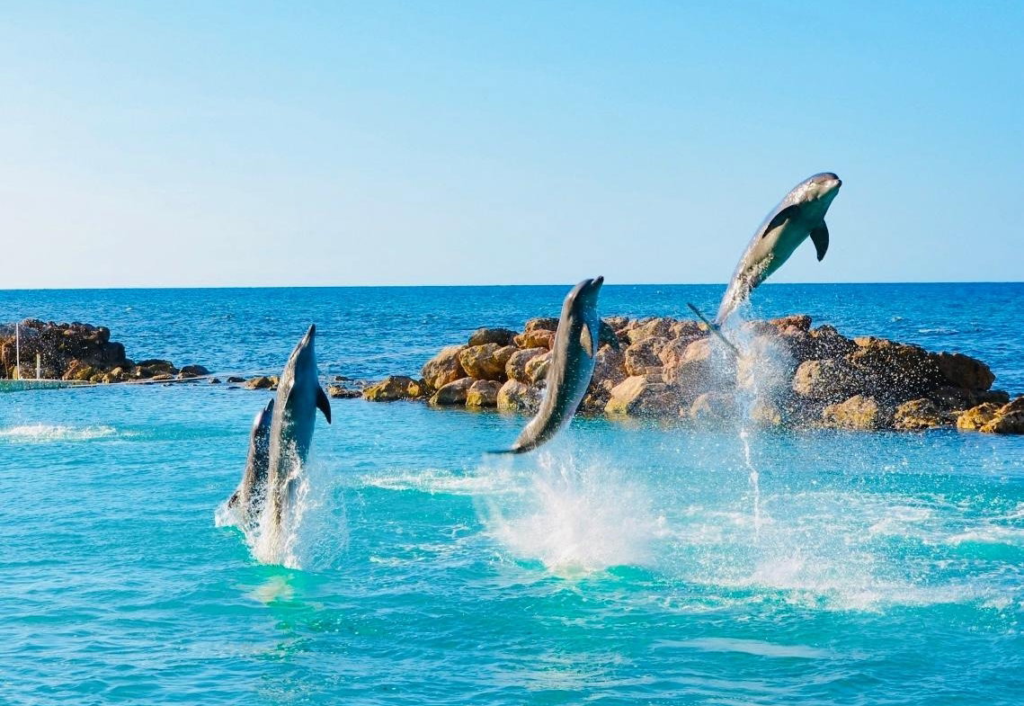 Twenty-First image of 110 Greenwich Estate in Drax Hall Estate, St. Ann, Jamaica - property is For Sale