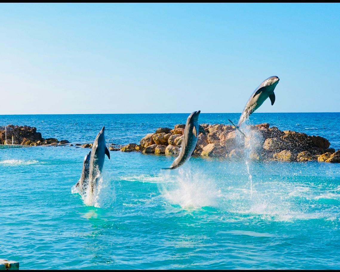 Income-Generating-3-Unit-Ocean-View-Property-in-Gated-Greenwich-Park-Ocho-Rios Twenty-First image of 110 Greenwich Estate in Drax Hall Estate, St. Ann, Jamaica - property is For Sale