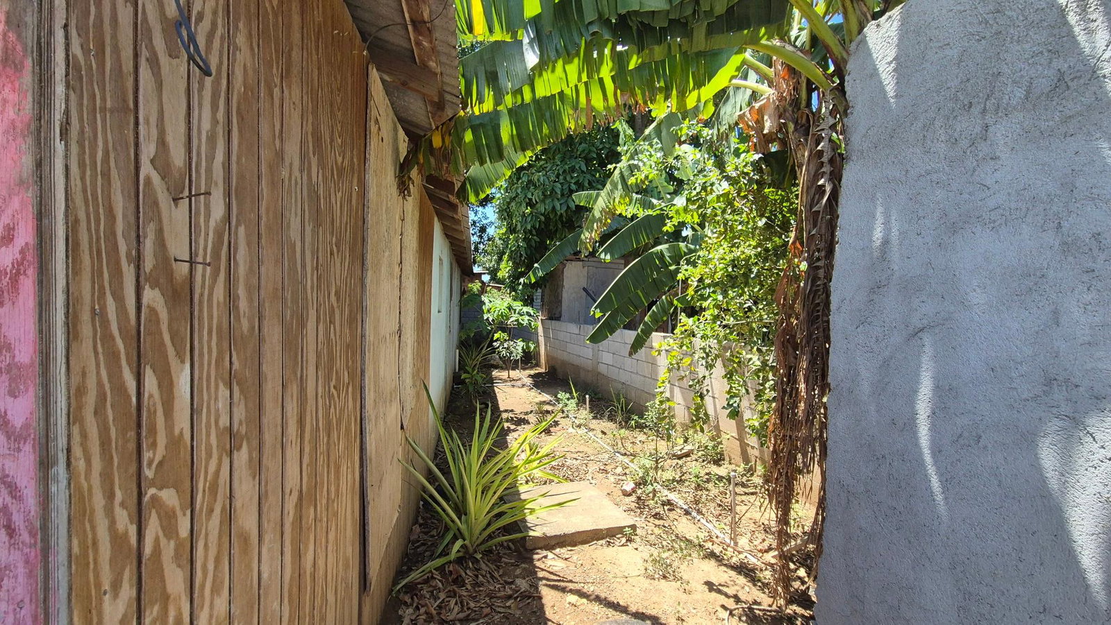 Nineteenth image of 333 Coconut Crescent, Clifton in Bernard Lodge, St. Catherine, Jamaica - property is For Sale