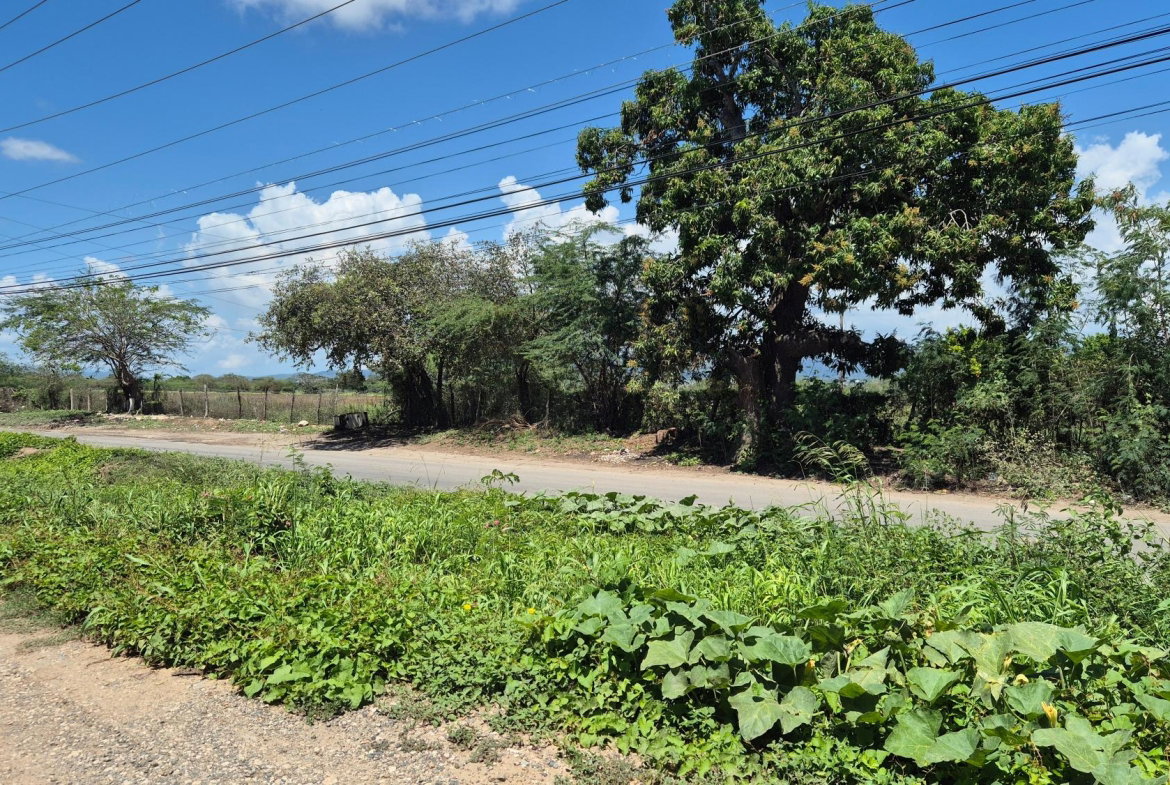 Twenty-Fifth image of 333 Coconut Crescent, Clifton in Bernard Lodge, St. Catherine, Jamaica - property is For Sale
