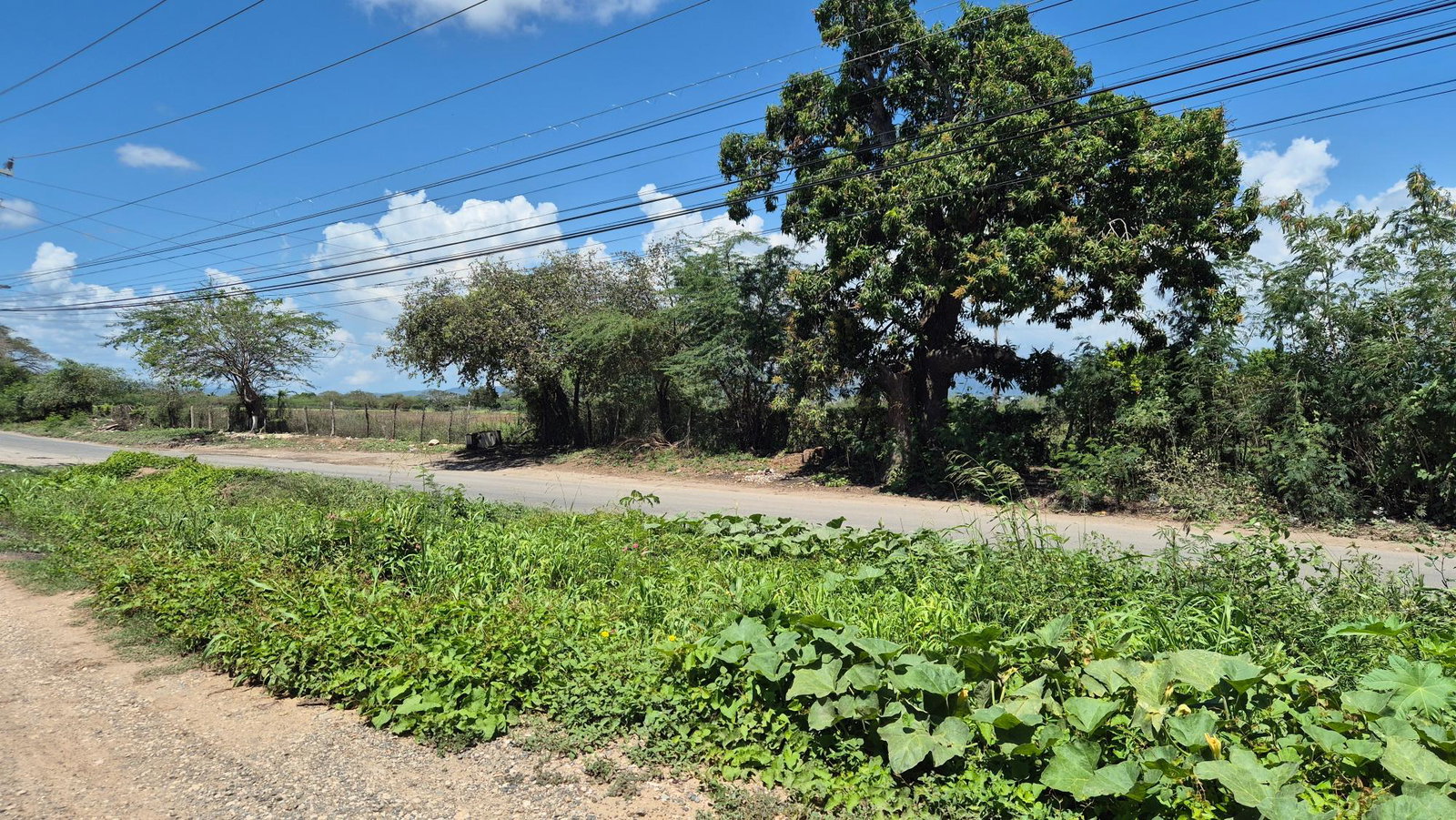 Twenty-Fifth image of 333 Coconut Crescent, Clifton in Bernard Lodge, St. Catherine, Jamaica - property is For Sale