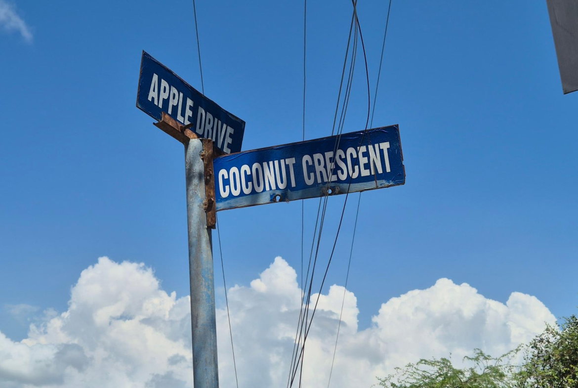 Twenty-Sixth image of 333 Coconut Crescent, Clifton in Bernard Lodge, St. Catherine, Jamaica - property is For Sale