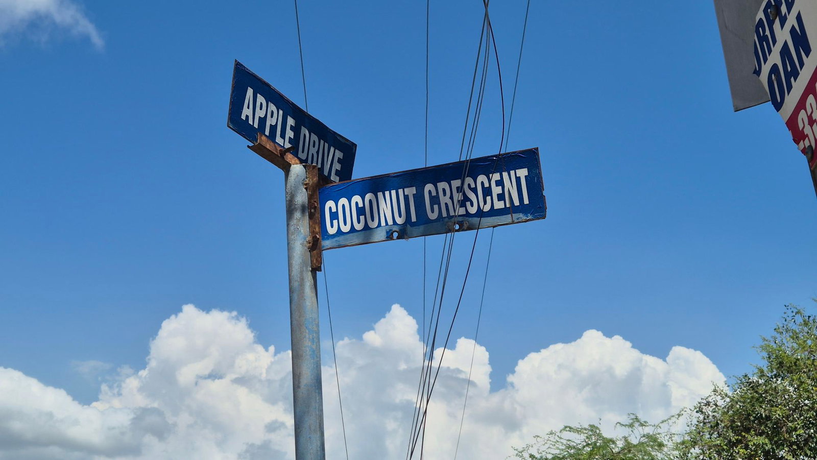 Twenty-Sixth image of 333 Coconut Crescent, Clifton in Bernard Lodge, St. Catherine, Jamaica - property is For Sale
