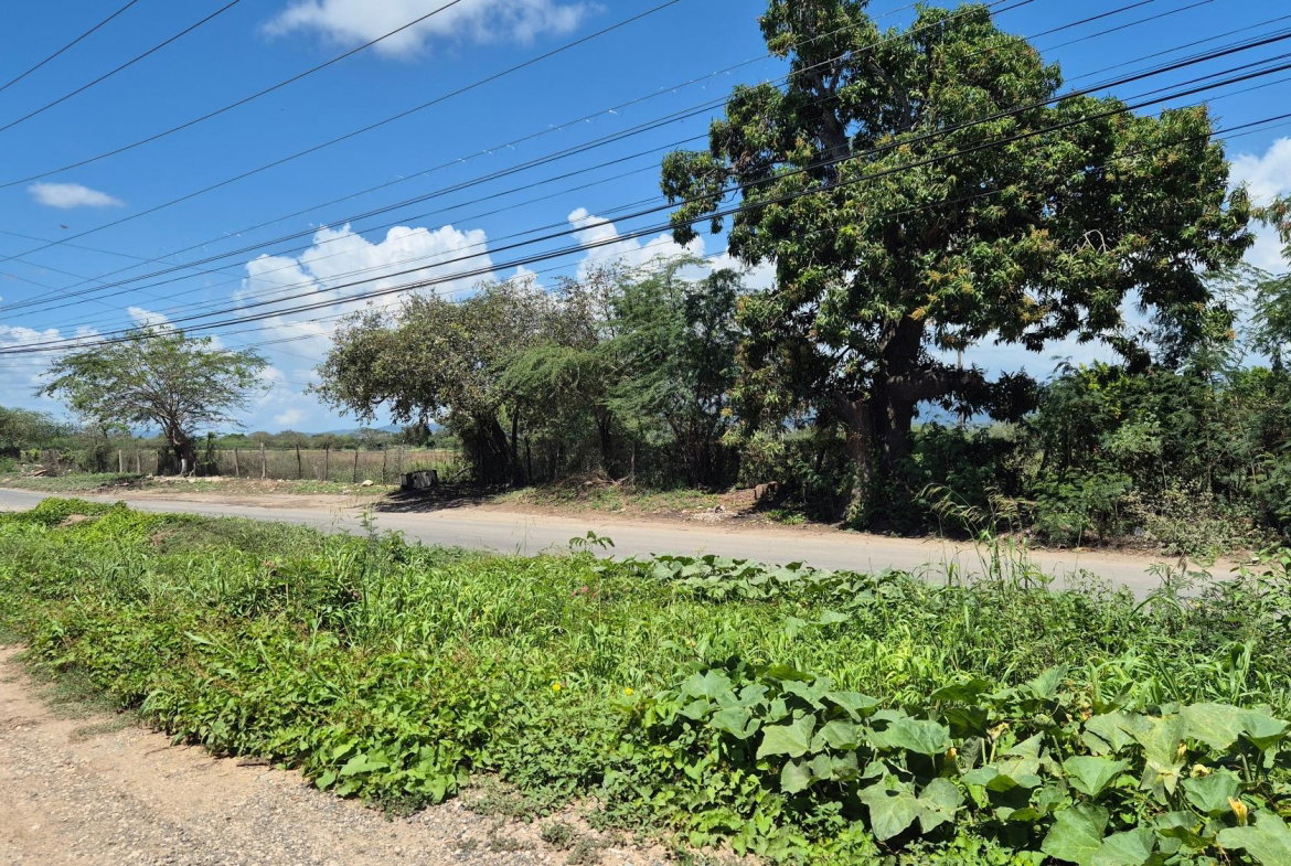 Twenty-Eighth image of 333 Coconut Crescent, Clifton in Bernard Lodge, St. Catherine, Jamaica - property is For Sale