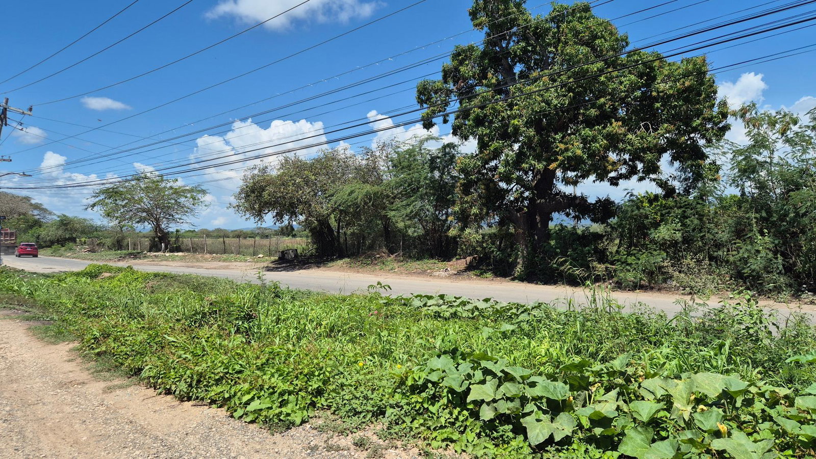 Twenty-Eighth image of 333 Coconut Crescent, Clifton in Bernard Lodge, St. Catherine, Jamaica - property is For Sale