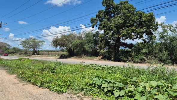 Twenty-Eighth image of 333 Coconut Crescent, Clifton in Bernard Lodge, St. Catherine, Jamaica - property is For Sale