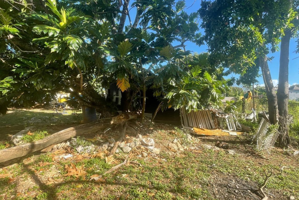 Eleventh image of 1 Dairy Road in Discovery Bay, St. Ann, Jamaica - property is For Sale