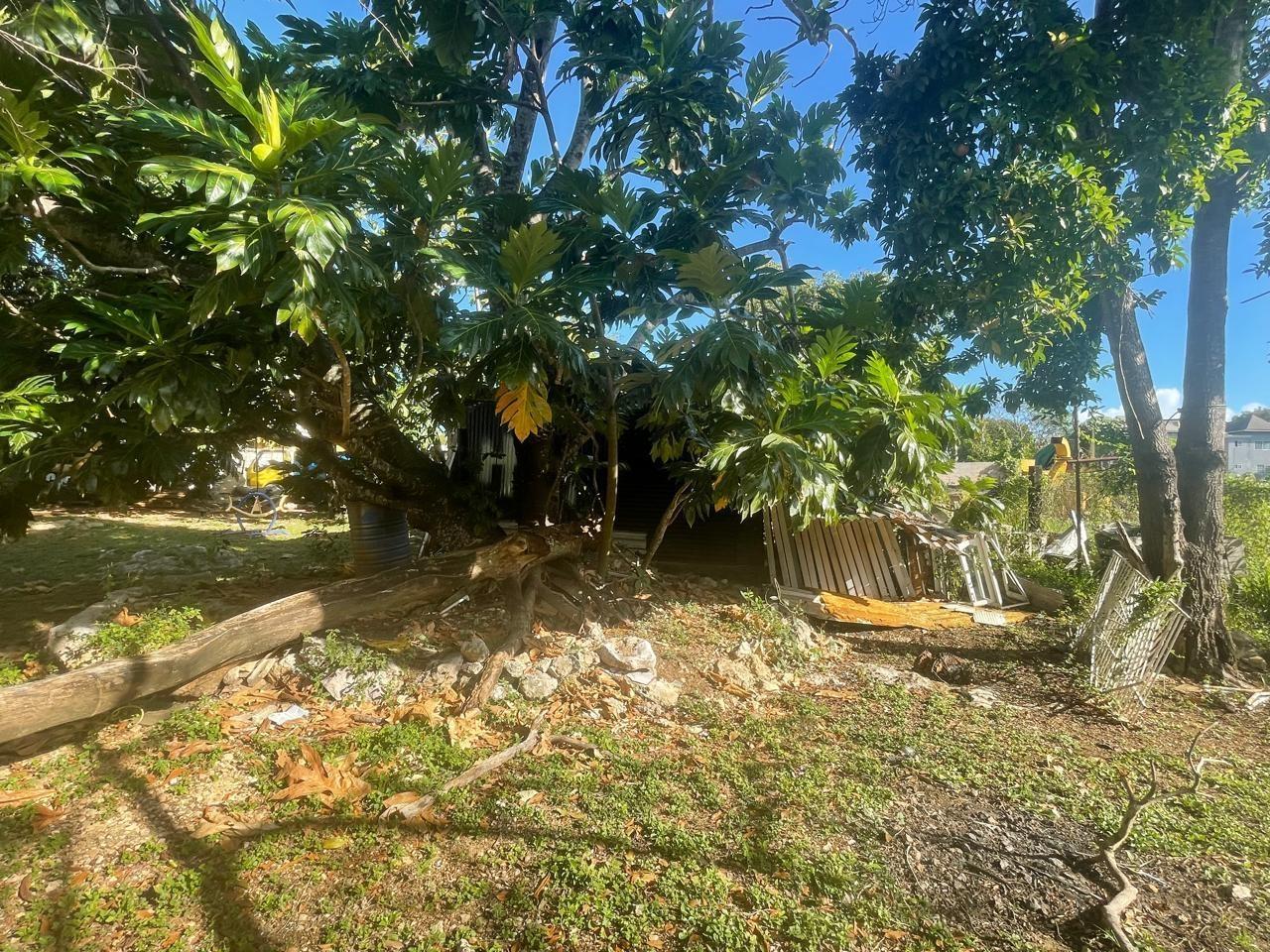 Eleventh image of 1 Dairy Road in Discovery Bay, St. Ann, Jamaica - property is For Sale