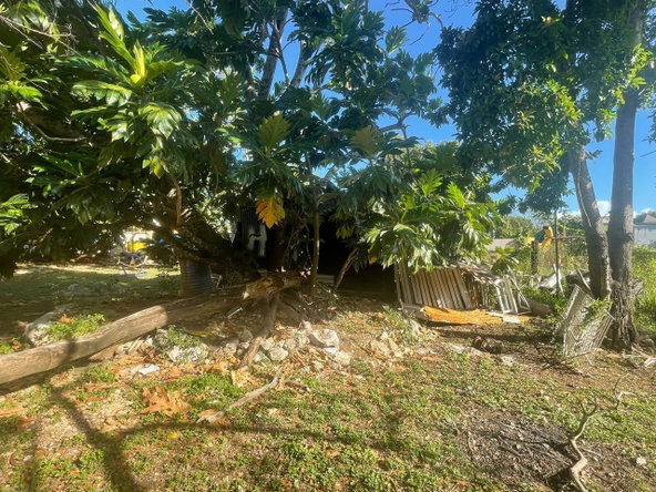 Eleventh image of 1 Dairy Road in Discovery Bay, St. Ann, Jamaica - property is For Sale