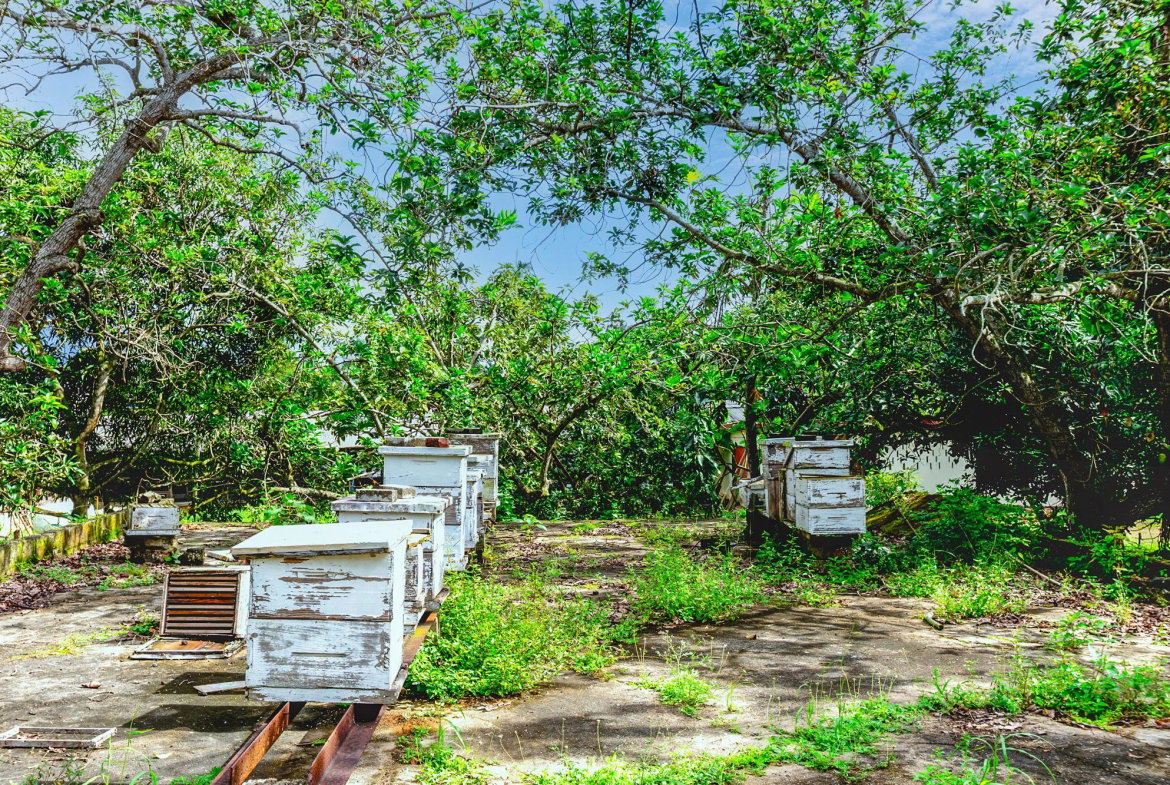 Fourth image of 20 Ewarton St. Catherine in Ewarton, St. Catherine, Jamaica - property is For Sale